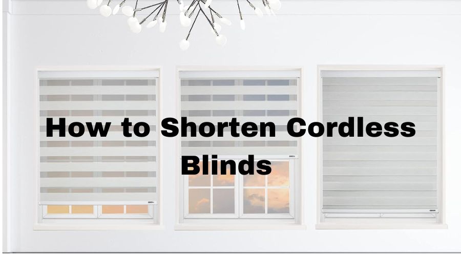 A picture showing SHADESU Cordless Zebra Shade Zebra Shades for Windows Privacy Light Filtering Shades, one of the best cordless blinds 